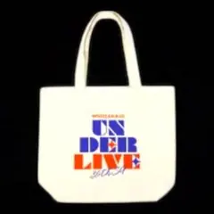 Item thumbnail for item 2cc4ef36-5063-4559-bfa0-b03e04fab699