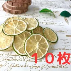 chio-chio様 リクエスト 2点 まとめ商品
