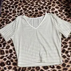 ホワイト/グリーンストライプ 半袖Tシャツ