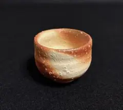 Item thumbnail for item fe141485-11a2-41b9-befd-6130263225d7