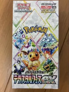 シュリンク付き未開封BOX テラスタルフェス サイバージャッジ 2025年最新】テラスタルフェスex boxの人気アイテム - メルカリ