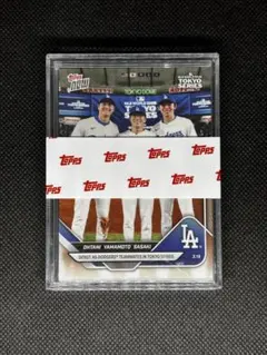 Item thumbnail for item facae471-135a-414c-bd06-5f97fbe6a544