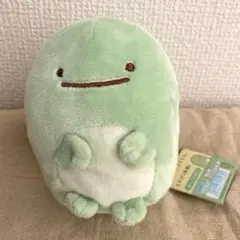 すみっコぐらし　ぬいぐるみ　とかげ（本物）