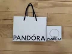 pandora ブレスレット 箱袋付きのサムネイル