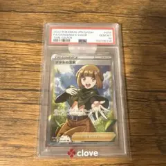 2026年最新】ナタネの活気 sr psa10の人気アイテム - メルカリ