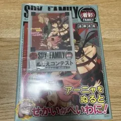 SPY×FAMILY オペレーション 〈 着彩(イロヌリ) 〉 -FAMILY-