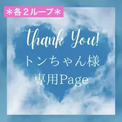 トンちゃん様 リクエスト 4点 まとめ商品