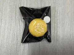 るぅとくん リングライト