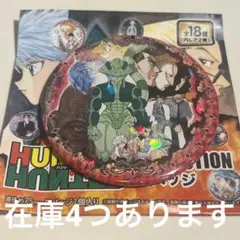 ハンターハンター　コレクション缶バッジ