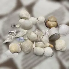 Item thumbnail for item 768daf37-19c0-4471-b60f-98681a60f641