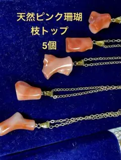 天然ピンク珊瑚枝トップ5個 Ｗー049のサムネイル