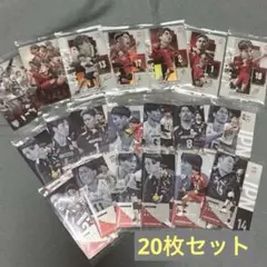 男子バレーボール日本代表ツインウエハース2026　20枚セット
