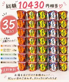 【35個セット❣️】日清 カレーメシ 5種アソート 詰め合わせ まとめ売りのサムネイル
