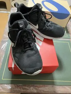 NIKE FLEX EXPERIENCE RN 5 27cmのサムネイル