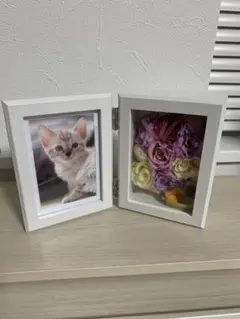 Item thumbnail for item 6aba633c-5f6c-45ba-98aa-9794aa4e7db0