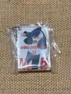 桜遥　一番くじ　ウィンブレ　ウィンドブレーカー　5周年　アクリッツ