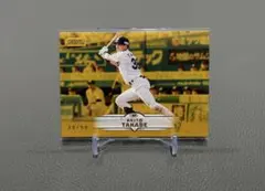 Topps Stadium Club 高部瑛斗 千葉ロッテマリーンズ 50枚限定