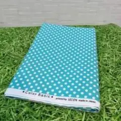 Color Basic 水玉模様 綿生地