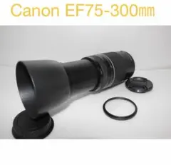 2025年最新】Canon EF75-300mmの人気アイテム - メルカリ