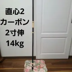 12879013_1