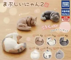 まぶしいにゃん2 フロッキー黒猫