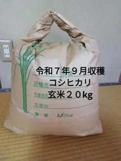 令和7年度 三重県産コシヒカリ 玄米 20kg（10kg ×2袋） - メルカリ