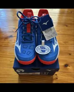 Mizuno Wave Exceed 4Z Wide OC 23.5cm