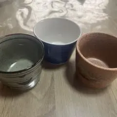 Item thumbnail for item 32e01afd-3510-4cfe-9b0e-ed8470b8d595