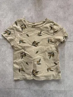 organic zoo olive garden Tshirt 2-3y