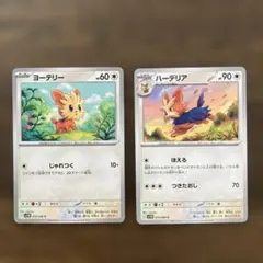 ポケモンカード　ハーデリア　ヨーテリーのサムネイル