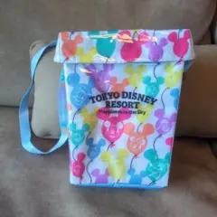 東京ディズニーリゾート ポップコーンバケット