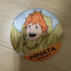 ハイキュー！！ シルキーバッジコレクション A　日向 翔陽 缶バッジ