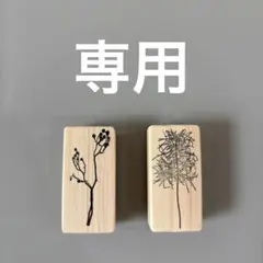 なっぴー様