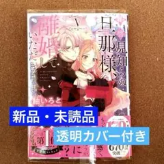 拝啓見知らぬ旦那様、離婚していただきます V