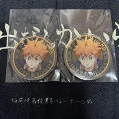 ハイキュー!!　日向翔陽　アクリル缶バッジ