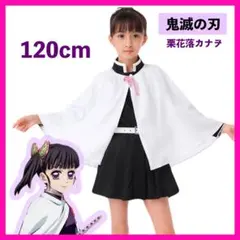 鬼滅の刃　栗花落カナヲ風 コスプレ　子供 プレゼント　仮装 衣装　130 120
