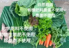 自然栽培　野菜詰め合わせ　固定種　在来種　自然農　ゲルソン療法　自然農法のサムネイル