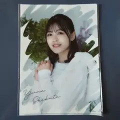 乃木坂46 柴田柚菜 個別クリアファイル 2022年 福袋A