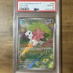 【PSA10】謝米AR 一位擁有者物品