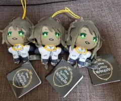 ツイステ エクストラ レオナ ぬいぐるみ　実験着 3点セット