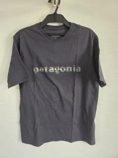 着用2回　パタゴニア 73 テキストロゴ Tシャツ 黒 S グリーンレーベル購入