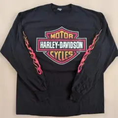 ゴ*ロ様 Harley-Davidson 長袖Tシャツ ファイヤーパターン L ゴ*ロ様 Harley-Davidson 長袖Tシャツ ファイヤーパターン L - メルカリ