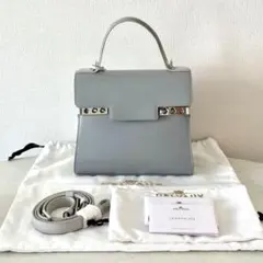 新品未使用 デルヴォー タンペートPM ハンドバッグ ショルダー シルバー金具のサムネイル