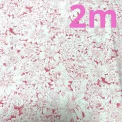 シーチング★1枚限り★ピンク　花柄★