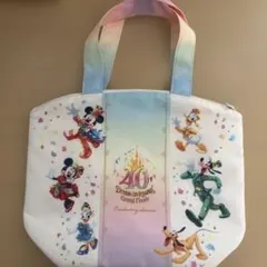 ディズニー ドリームゴーラウンド スーベニアランチケース 40周年