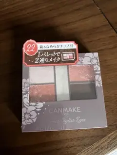 CANMAKE 【廃盤品】パーフェクトスタイリストアイズ 22