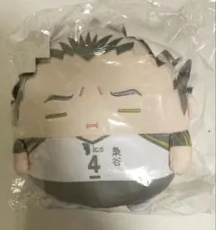 ハイキュー くじメイト ぬいくじ C賞 ふわコロりん M size 木兎光太郎