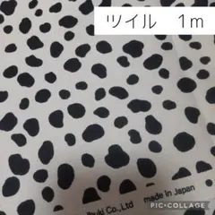 ダルメシアン柄　ツイル　ベージュグレー　1ｍ