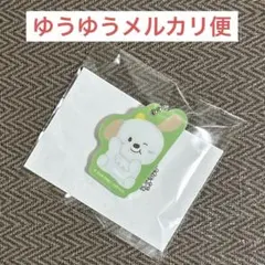 RIIZE ランダムトイ アントン マグネットアクリルチャーム（L）