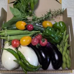 13A白茄子入り野菜詰め合わせ、野菜セット！のサムネイル